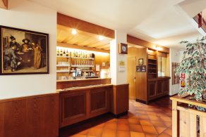 Pension Stern in Aldein mit Zimmer und Ferienwohnungen